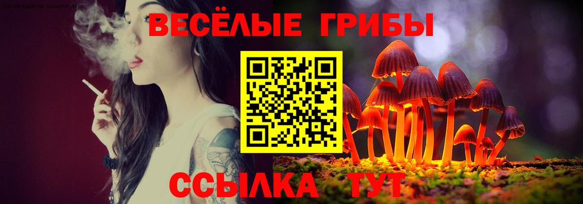 Псилоцибиновые грибы Cubensis Балтийск